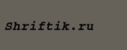 Dark Courier Bold Italic 